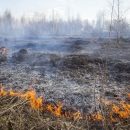 В Тульской области сохраняется высокий уровень пожароопасности